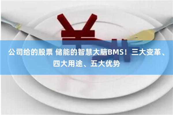 公司给的股票 储能的智慧大脑BMS！三大变革、四大用途、五大优势