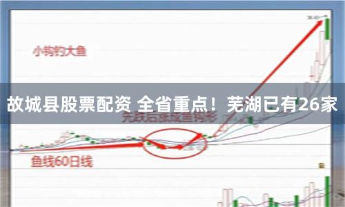 故城县股票配资 全省重点！芜湖已有26家