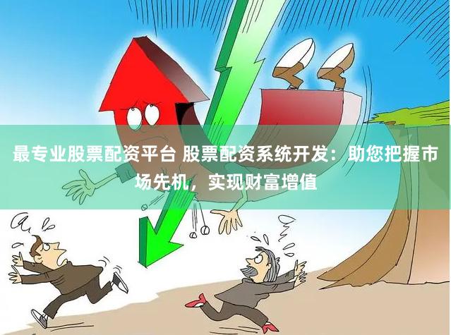 最专业股票配资平台 股票配资系统开发：助您把握市场先机，实现财富增值