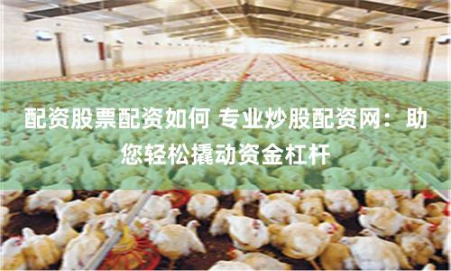 配资股票配资如何 专业炒股配资网：助您轻松撬动资金杠杆
