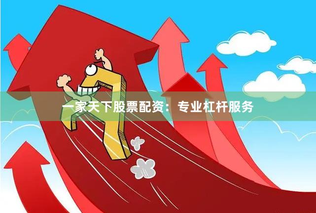 一家天下股票配资：专业杠杆服务