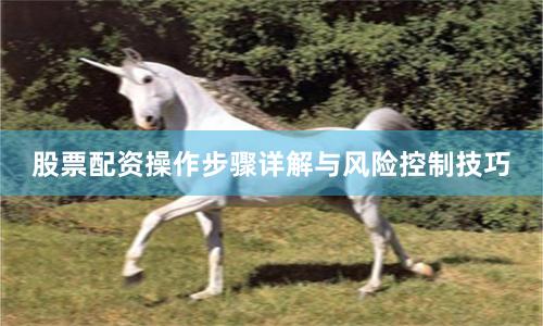 股票配资操作步骤详解与风险控制技巧