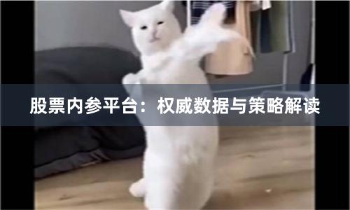 股票内参平台：权威数据与策略解读